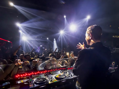 L'intérieur du bar ressemblant à une forêt
